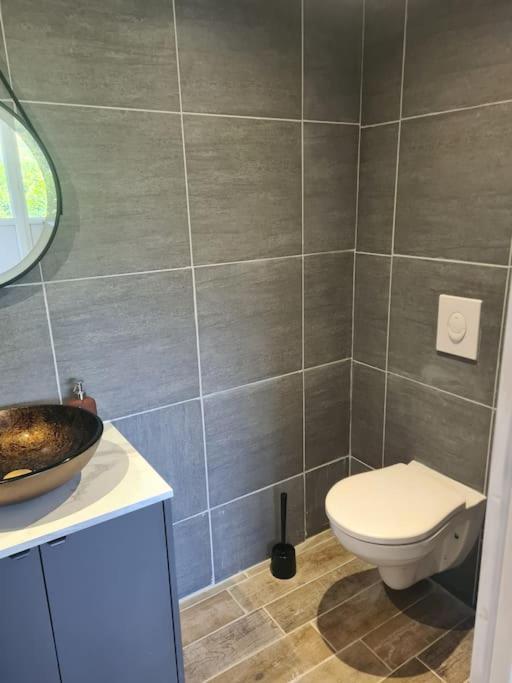 Le Chalet Des Amis Aurec-Sur-Loire Εξωτερικό φωτογραφία